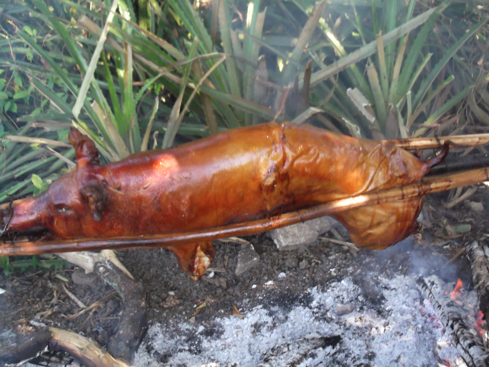 puerco-en-pua, lechón asado, Cuba